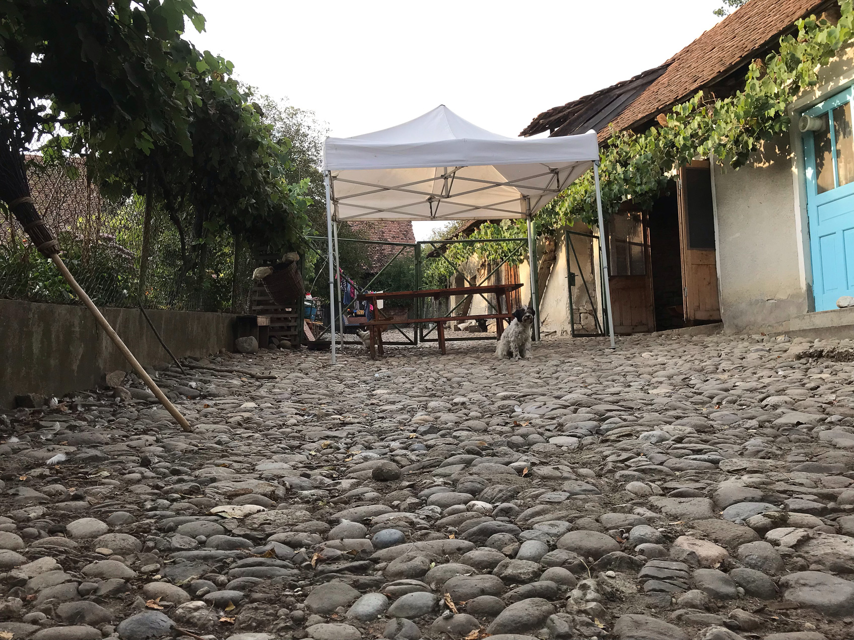 We are being treated to dinner by residents of another house on the main street.  The garden is on the left, the dining alcove on the right.  Chickens, ducks, geese and cats are about to join the dog in the cobbleway.