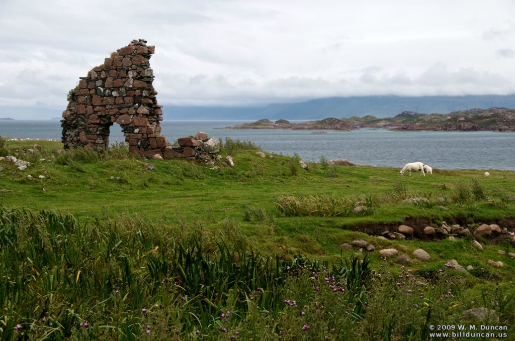 By the Abbey on Iona