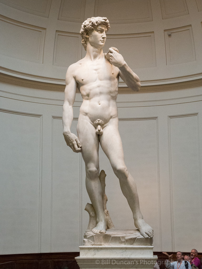 Michelangelo's David  (Accademia Galleria)