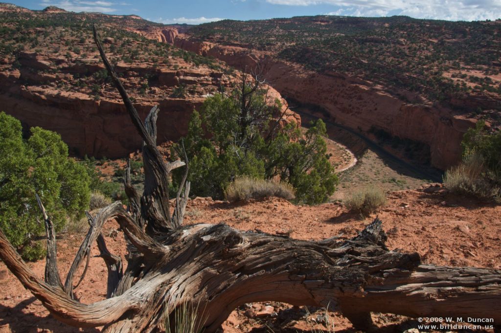 The Burr Trail, Utah