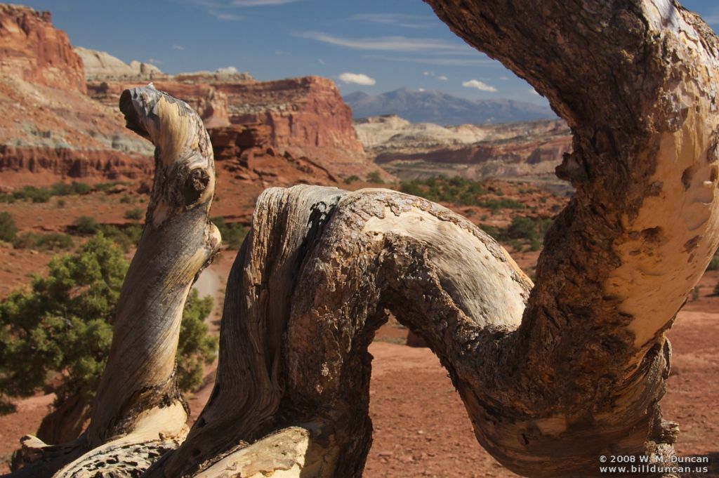 Capitol Reef National Park